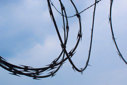 Cielo y puas l med 2015.jpg