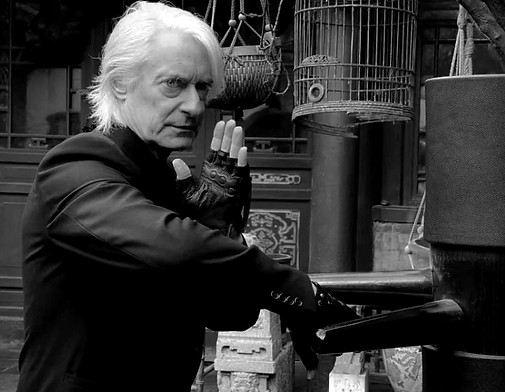 Laurence Brahm - Wing Chun.jpg