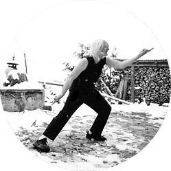 Vajra Kungfu Laurence Brahm.png