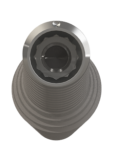 Implant Inverta