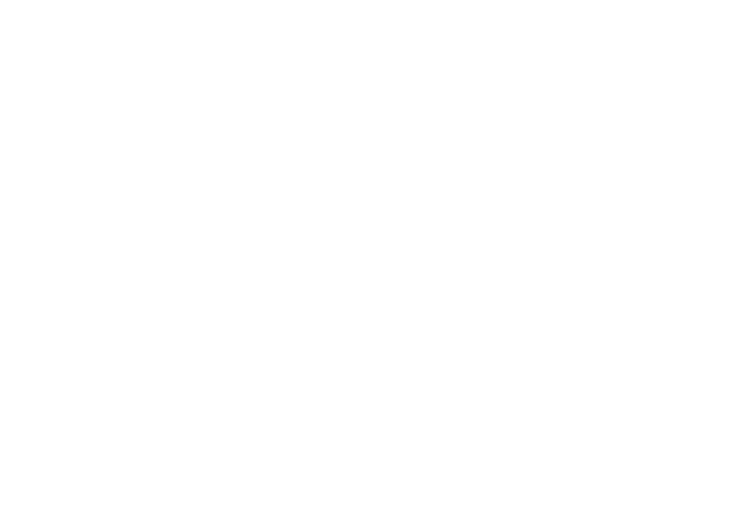 Logo Southern Implants