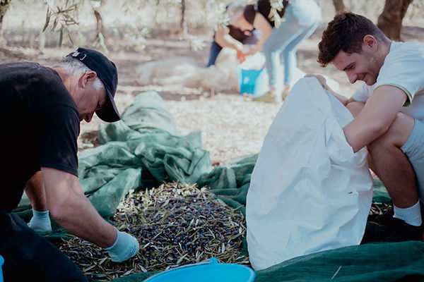 Récolte des olives 2023, Famiglia