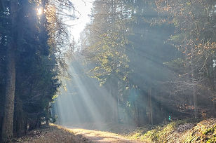 20260124_123158.jpg