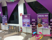 Decoração com Lycras