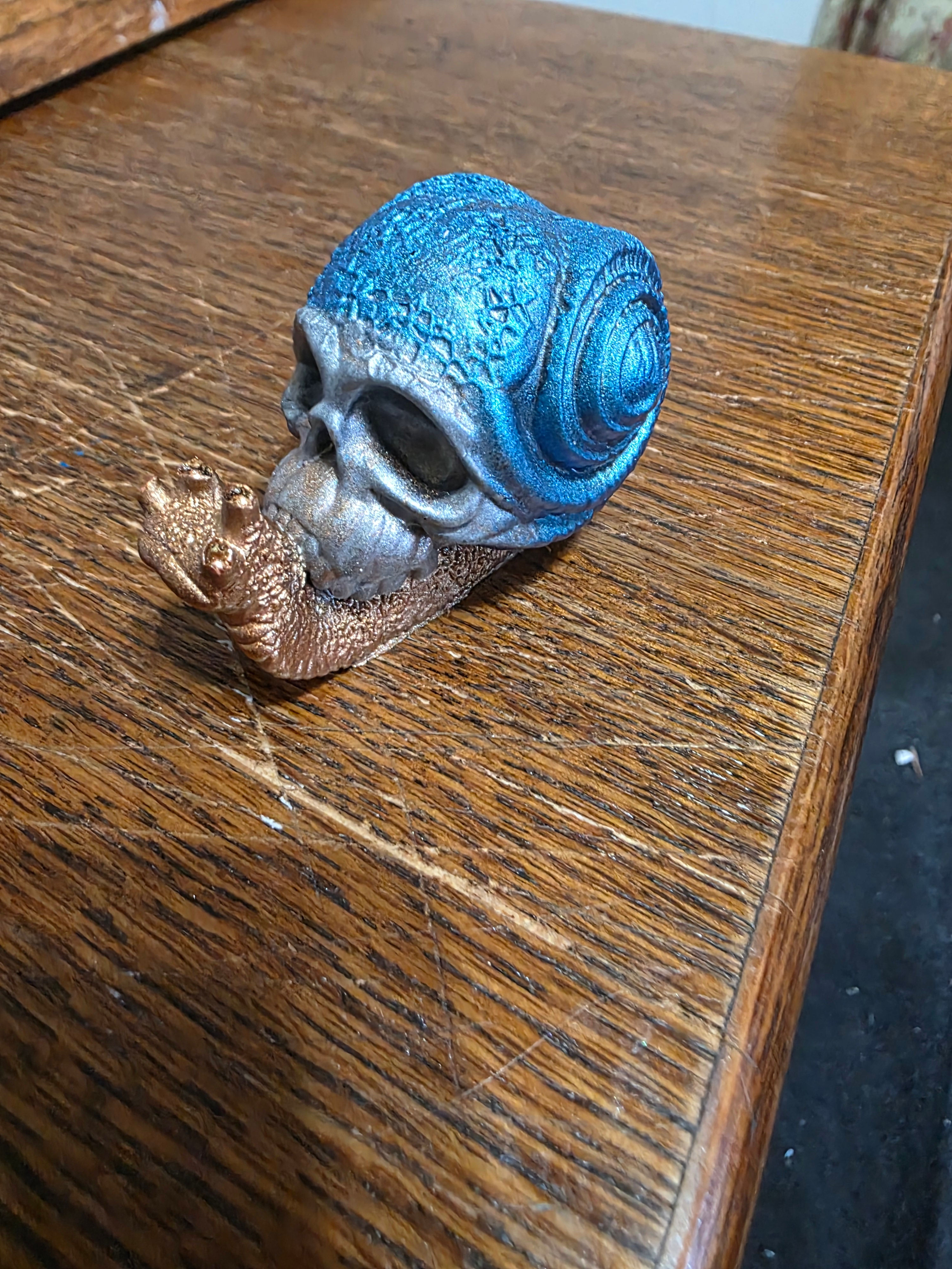 Snail with  skull shell