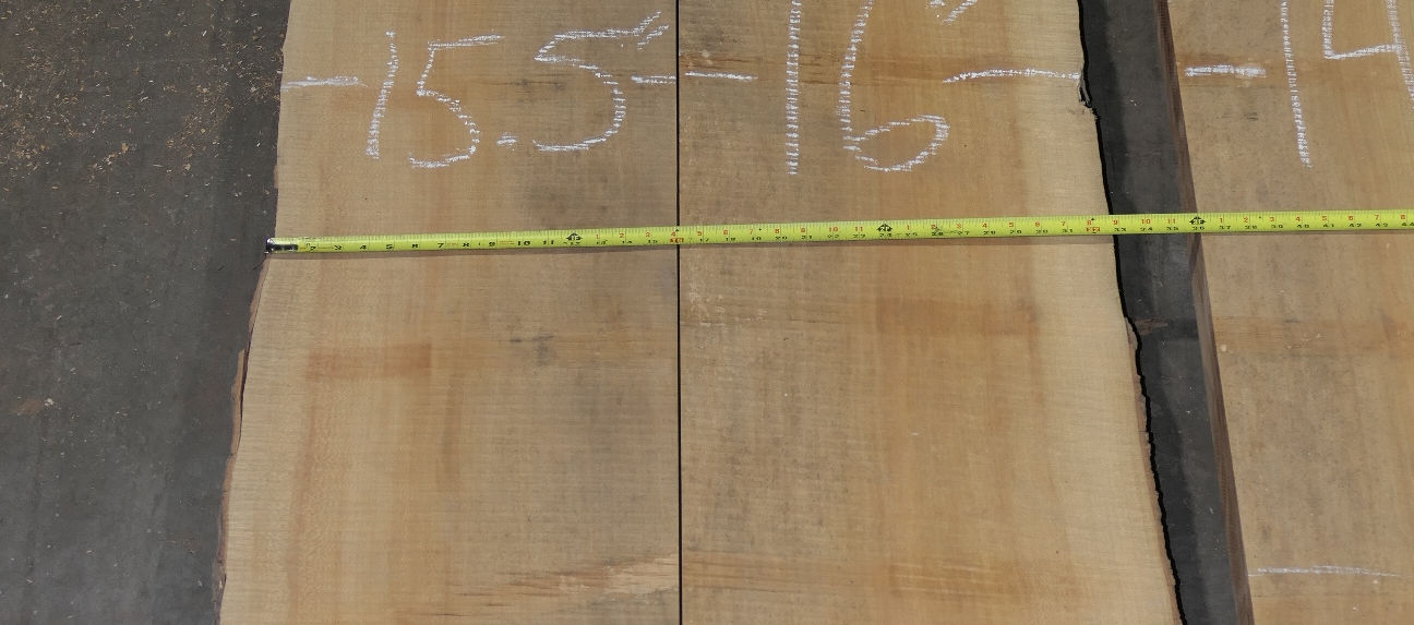 Sycamore Flitches - Set #788016 - Photo #0