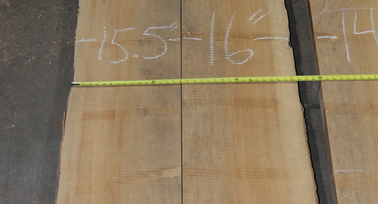 Sycamore Flitches - Set #788016 - Photo #0