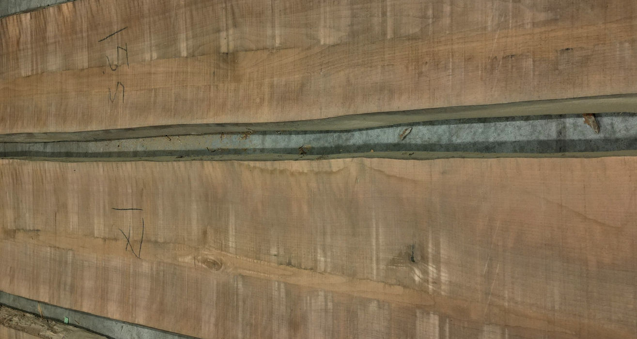 Walnut Flitches - Set #496829 - Photo #2