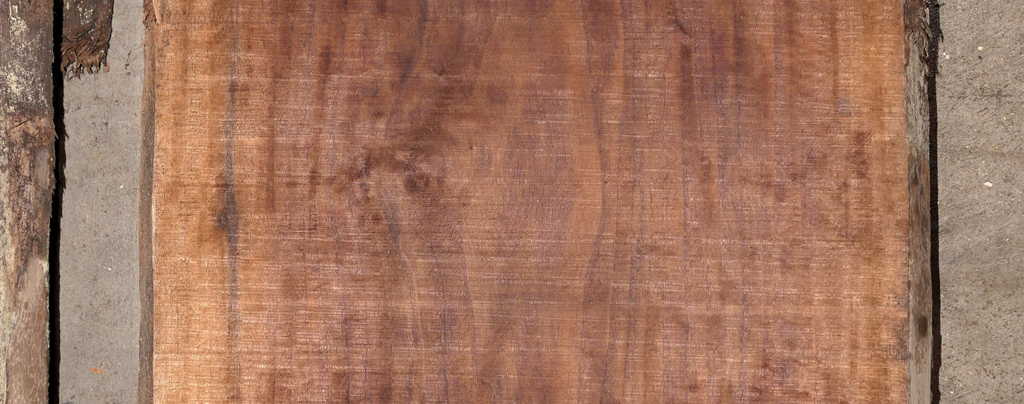 Walnut Flitches - Set #518767 - Photo #5