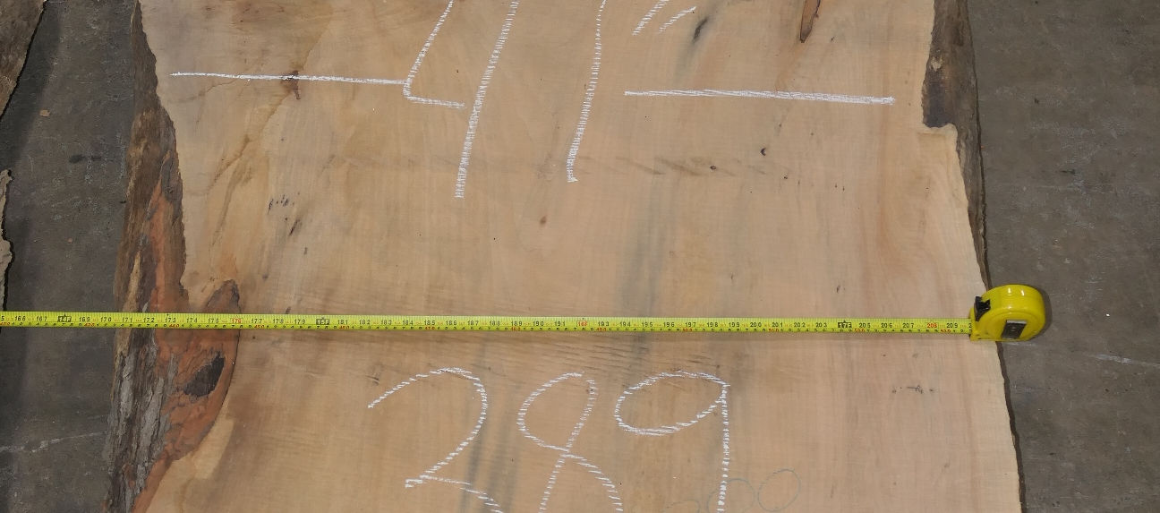 Soft-Maple Slabs - Set #446389 - Photo #3