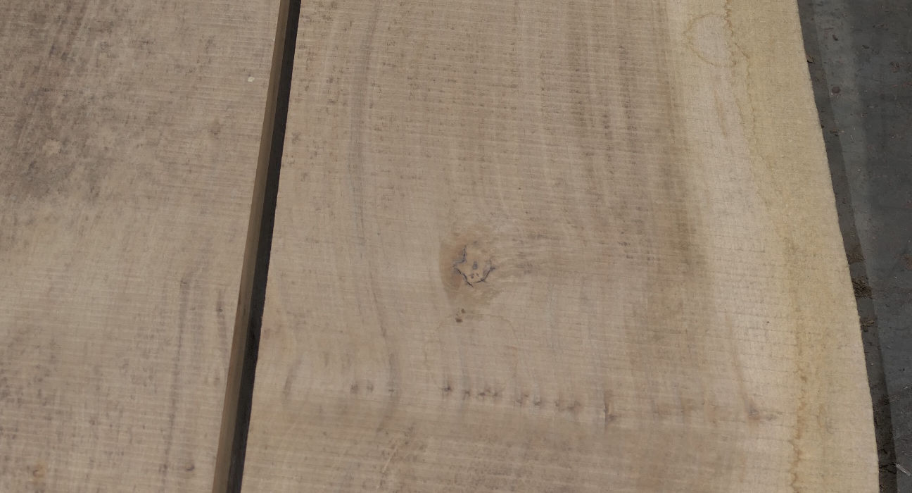 Grey-Elm Flitches - Set #788017 - Photo #8