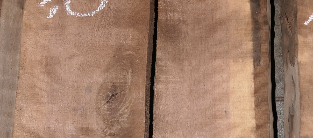 Walnut Flitches - Set #582517 - Photo #6