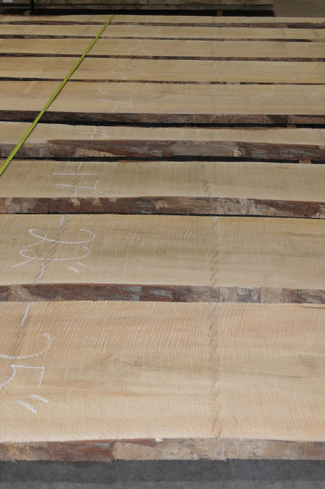 Soft-Maple Flitches - Set #570504 - Photo #5