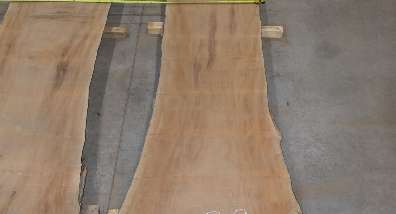 Photo #7 (05fbf196-42a0-4f16-bf8c-1a400ceeb5b1)