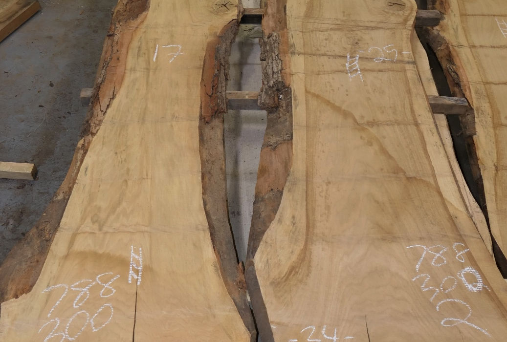 White-Oak Slabs - Set #788300 - Photo #0