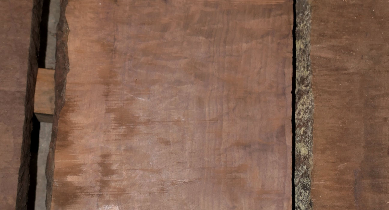 Walnut Flitches - Set #555396 - Photo #6