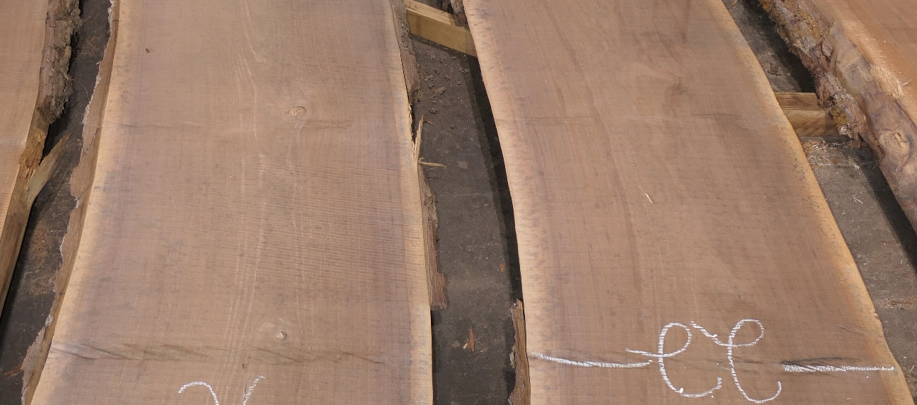 Photo #6 (ce492c7e-2db2-4123-98eb-3031f1890a0b)