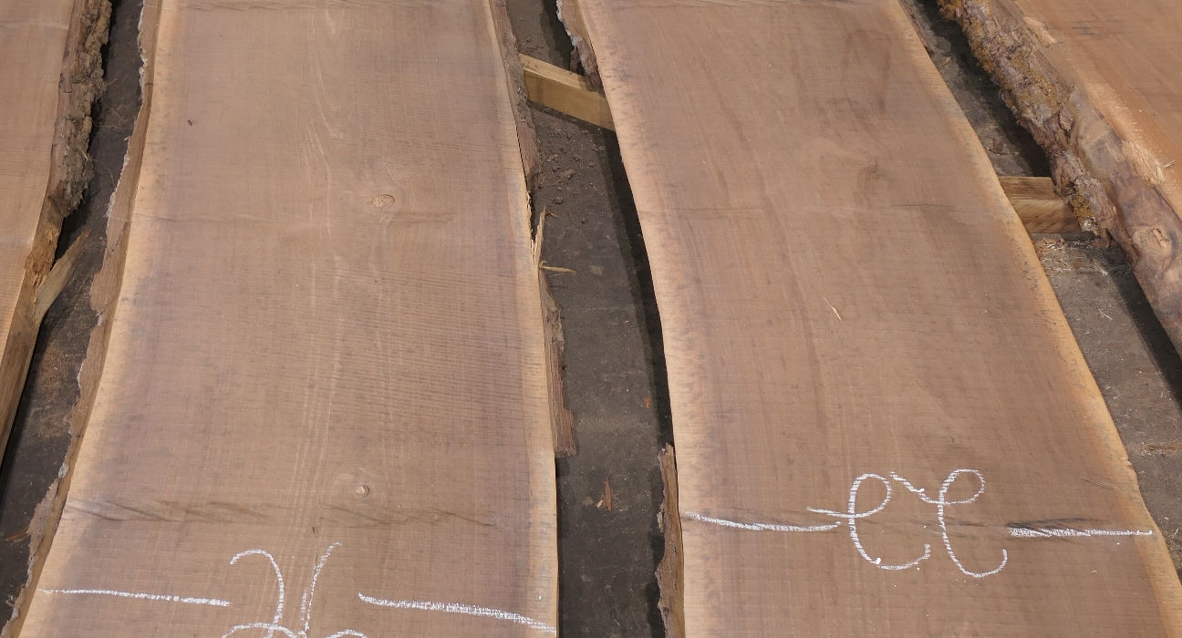 Photo #6 (ce492c7e-2db2-4123-98eb-3031f1890a0b)