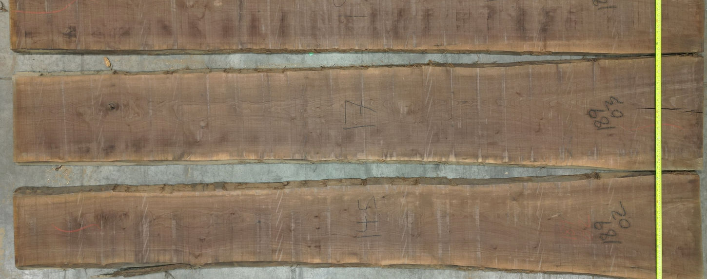 Walnut Flitches - Set #508189 - Photo #0