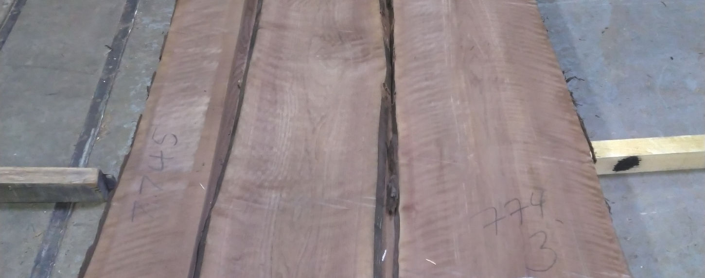 Walnut Flitches - Set #554774 - Photo #11