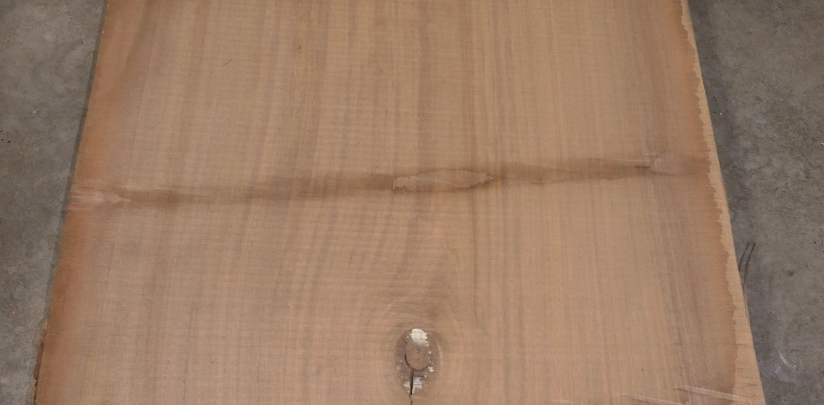 Walnut Slabs - Set #502951 - Photo #8