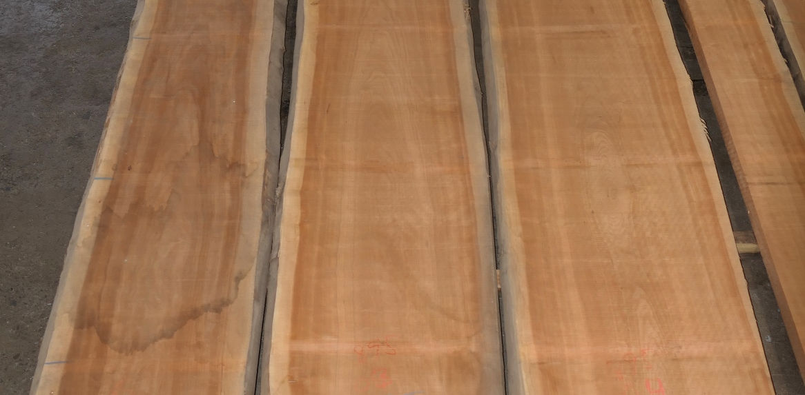 Photo #0 (ecf7dc00-90ea-4ac3-a1ea-cd2a68234d29)