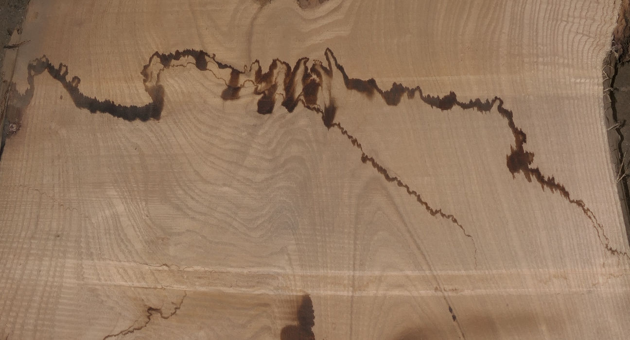 Walnut Flitches - Set #441957 - Photo #8