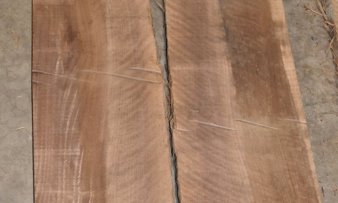 Walnut Flitches - Set #580696 - Photo #4