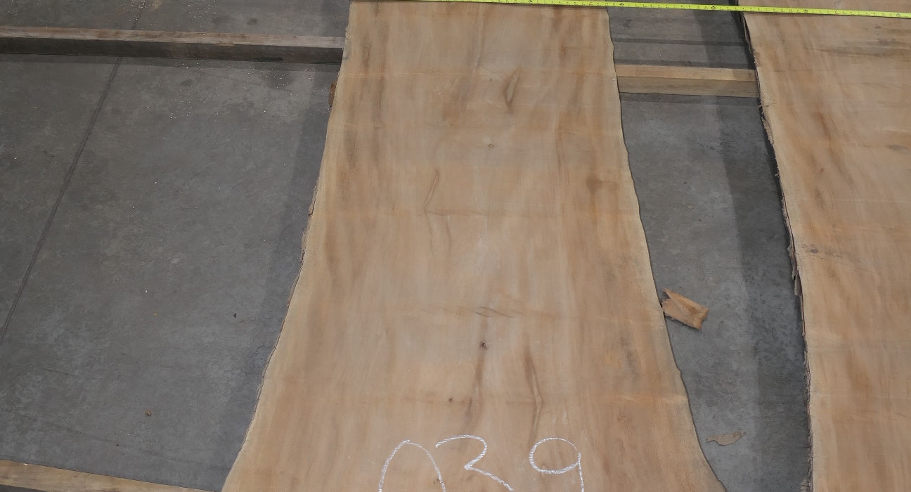 Photo #5 (05fbf196-42a0-4f16-bf8c-1a400ceeb5b1)