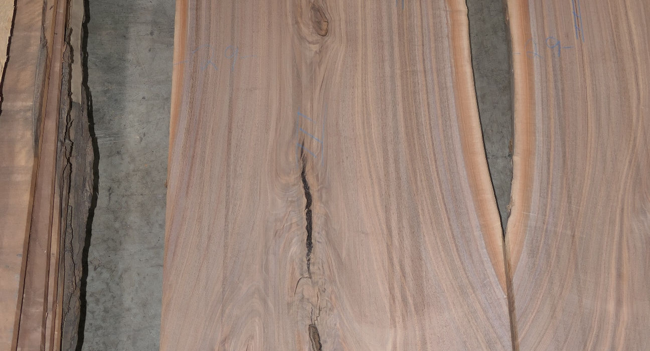 Walnut Slabs - Set #431953 - Photo #2