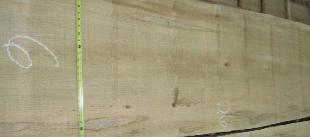 Soft-Maple Flitches - Set #347007 - Photo #10