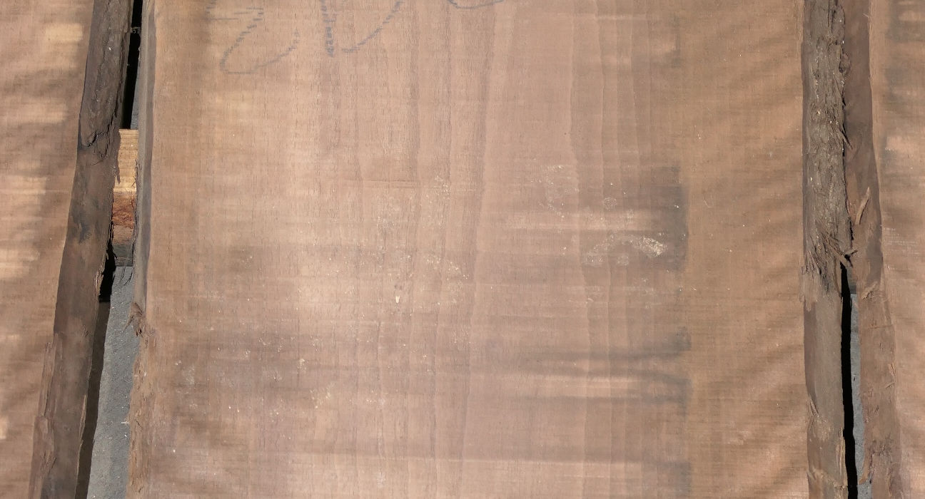 Walnut Flitches - Set #581093 - Photo #10