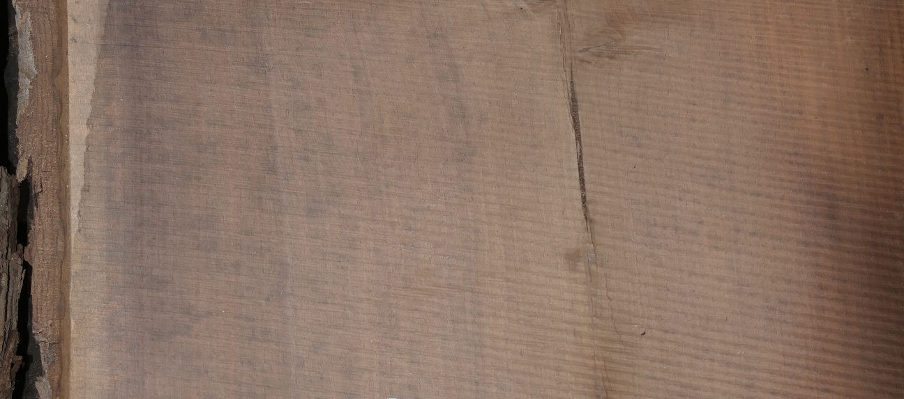 Photo #7 (ce492c7e-2db2-4123-98eb-3031f1890a0b)