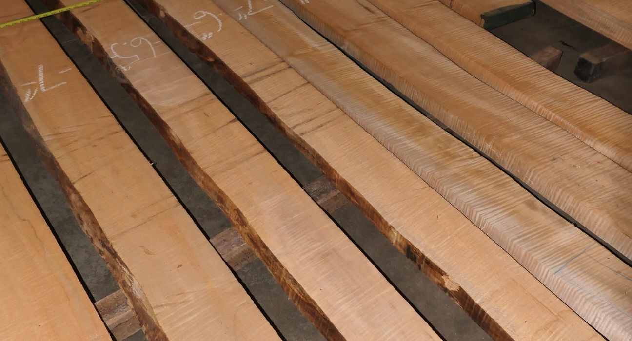 Soft-Maple Flitches - Set #552748 - Photo #13