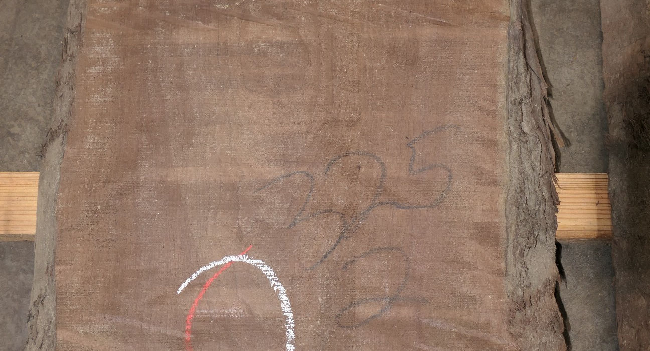 Walnut Flitches - Set #788325 - Photo #0