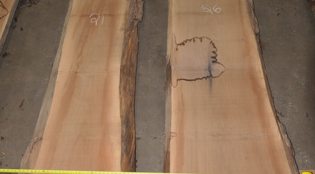 Walnut Slabs - Set #543092 - Photo #3