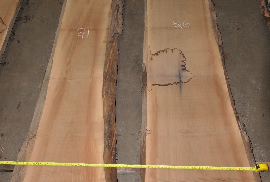 Walnut Slabs - Set #543092 - Photo #3