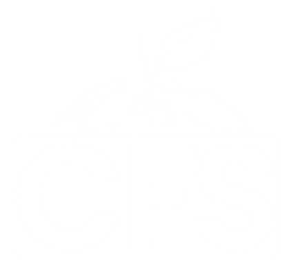 Logo CFS