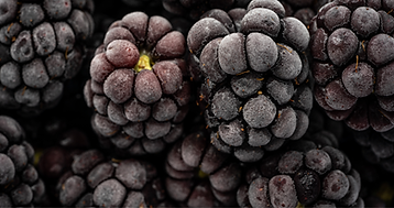 Frutas congeladas premium