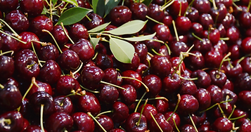 Frutas frecas y congeladas para exportación