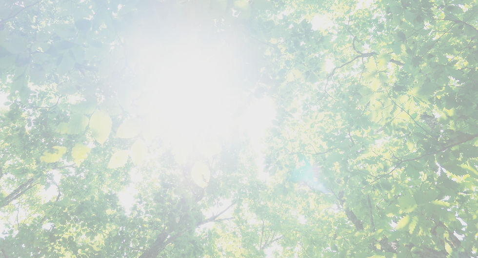 s004+.jpg