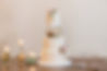 wedding cake-purple door planning-country wedding-onion hill.jpg