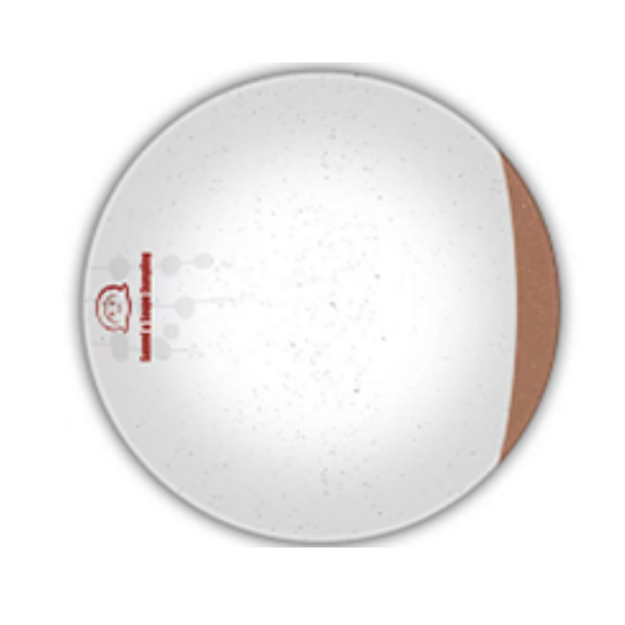 10"整份锅贴(52件/箱) / 10"Plates_NO.MF1310 (52pc/box)
