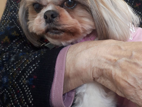 くつろ木　吉の原さんへ