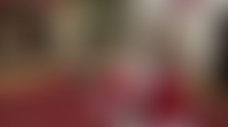 2026年「わんわんふれあい会」＆「わんわん読書会」