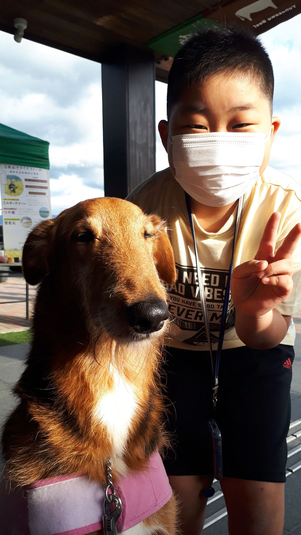 「わんわんふれあい会」&「アニマルセラピー説明会」