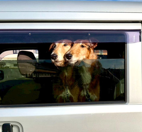 大江町「らふらんす大江」さんに到着　さあ、これからお仕事です