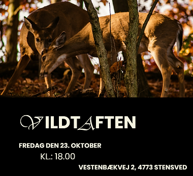 vildtaften.png
