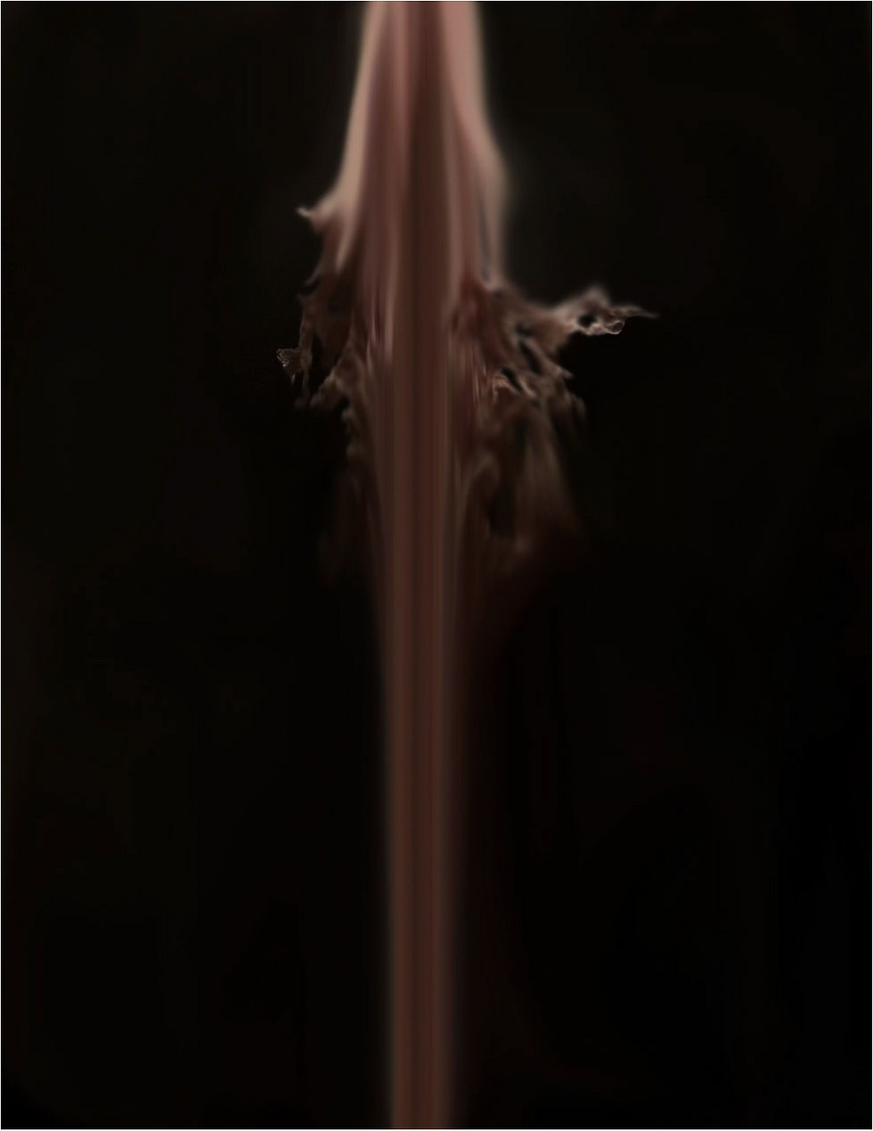 Phelps_Hannah_Moments of Ecstasy_ditigal photograph_18_x24_ copy.png