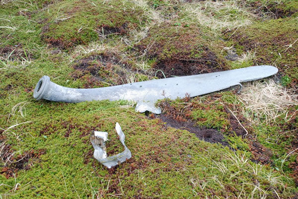 Irving's B-25, Cape Lopatka, 2007